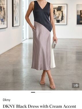 DKNY Black, Taupe & Cream Colorblock Midi Dress